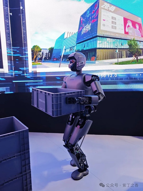 1747030087794957.jpg 2.jpg